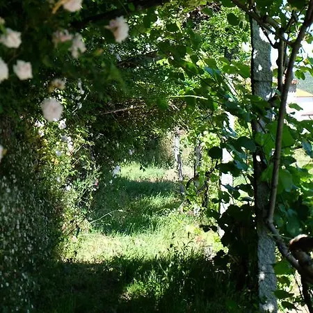 Alvores Do Tempo - Quinta De Turismo Rural * Castro Daire