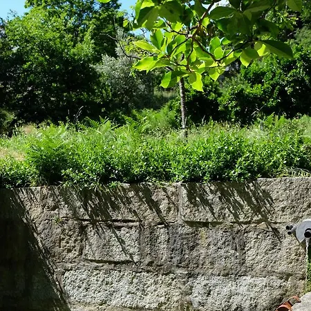 Alvores Do Tempo - Quinta De Turismo Rural * Castro Daire