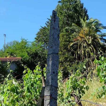 Alvores Do Tempo - Quinta De Turismo Rural