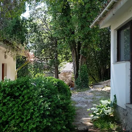 Alvores Do Tempo - Quinta De Turismo Rural