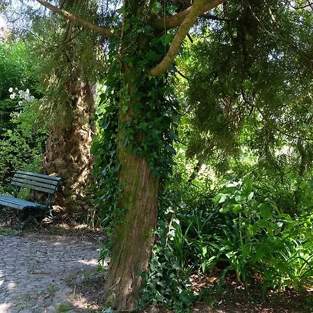 Alvores Do Tempo - Quinta De Turismo Rural * Castro Daire