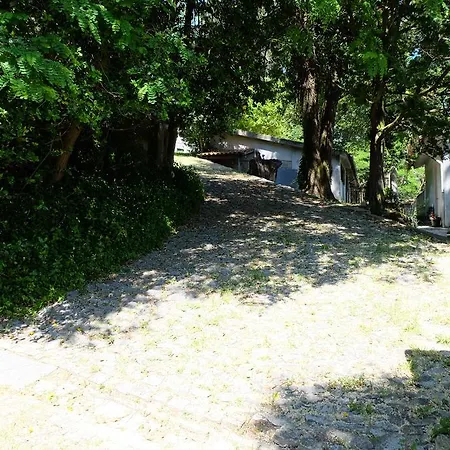 Alvores Do Tempo - Quinta De Turismo Rural * Castro Daire