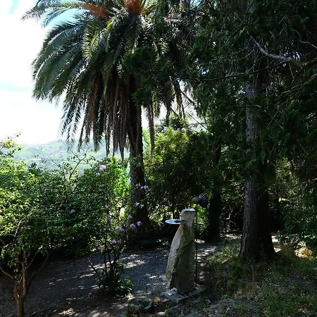 Alvores Do Tempo - Quinta De Turismo Rural