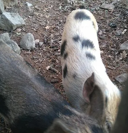 Alvores Do Tempo - Quinta De Turismo Rural Country house *