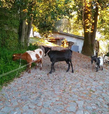 Casa rural Alvores Do Tempo - Quinta De Turismo Rural Castro Daire