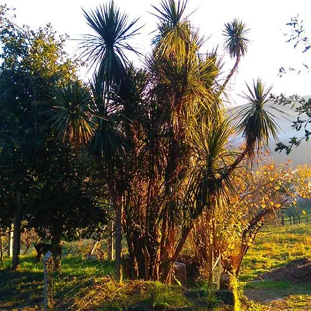Alvores Do Tempo - Quinta De Turismo Rural Castro Daire