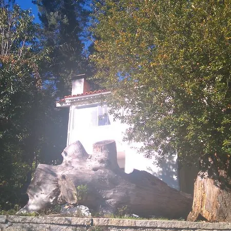Alvores Do Tempo - Quinta De Turismo Rural *