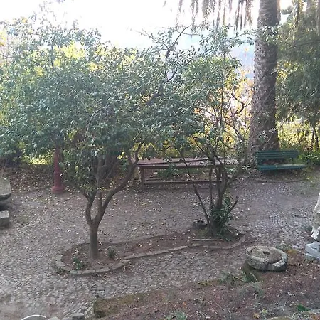 Alvores Do Tempo - Quinta De Turismo Rural
