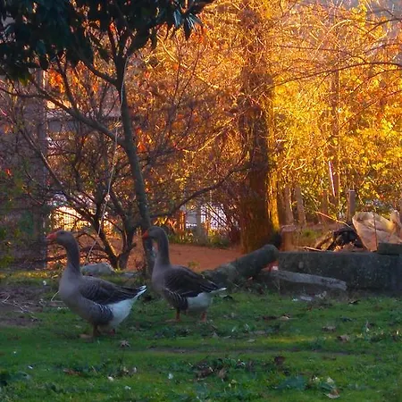 Alvores Do Tempo - Quinta De Turismo Rural Castro Daire