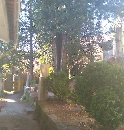 Alvores Do Tempo - Quinta De Turismo Rural Casa rural Castro Daire